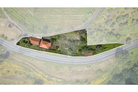 Villa i Ponte de Lima, Viana do Castelo, Ponte de Lima - € 265 000 | Ref: 123731008-449 - foto 3