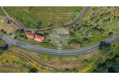 Villa i Ponte de Lima, Viana do Castelo, Ponte de Lima - € 265 000 | Ref: 123731008-449 - foto 4