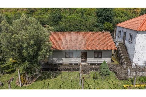 Villa i Ponte de Lima, Viana do Castelo, Ponte de Lima - € 265 000 | Ref: 123731008-449 - foto 7
