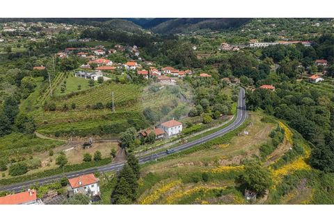 Villa i Ponte de Lima, Viana do Castelo, Ponte de Lima - € 265 000 | Ref: 123731008-449 - foto 21
