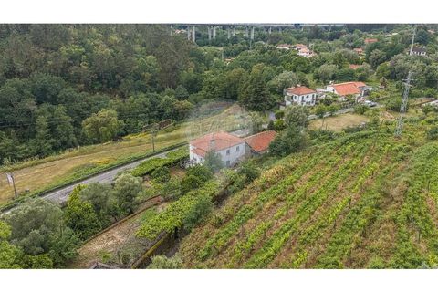 Villa i Ponte de Lima, Viana do Castelo, Ponte de Lima - € 265 000 | Ref: 123731008-449 - foto 24