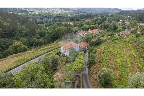 Villa i Ponte de Lima, Viana do Castelo, Ponte de Lima - € 265 000 | Ref: 123731008-449 - foto 26