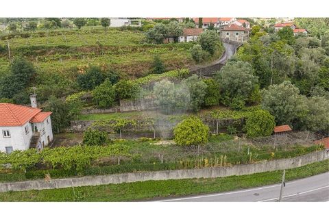 Villa i Ponte de Lima, Viana do Castelo, Ponte de Lima - € 265 000 | Ref: 123731008-449 - foto 28