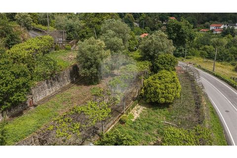 Villa i Ponte de Lima, Viana do Castelo, Ponte de Lima - € 265 000 | Ref: 123731008-449 - foto 29