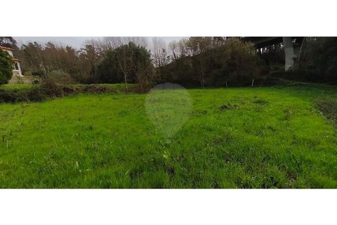 Helårsgrund i Ponte de Lima, Viana do Castelo, Ponte de Lima - € 37.000 | Ref: 123731039-20 - foto 2