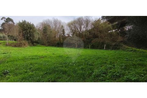 Helårsgrund i Ponte de Lima, Viana do Castelo, Ponte de Lima - € 37.000 | Ref: 123731039-20 - foto 3