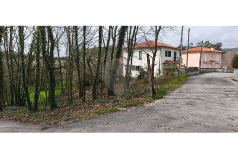 Helårsgrund i Ponte de Lima, Viana do Castelo, Ponte de Lima - € 37.000 | Ref: 123731039-20 - foto 4
