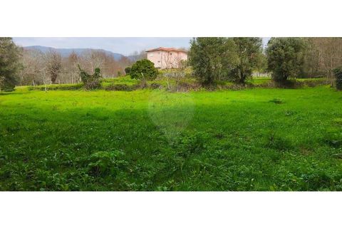 Helårsgrund i Ponte de Lima, Viana do Castelo, Ponte de Lima - € 37.000 | Ref: 123731039-20 - foto 5