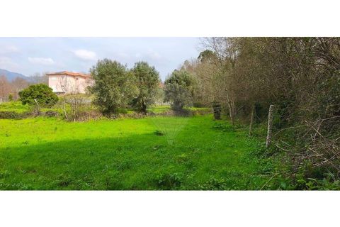Helårsgrund i Ponte de Lima, Viana do Castelo, Ponte de Lima - € 37.000 | Ref: 123731039-20 - foto 6