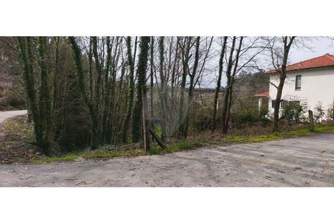 Helårsgrund i Ponte de Lima, Viana do Castelo, Ponte de Lima - € 37.000 | Ref: 123731039-20 - foto 7