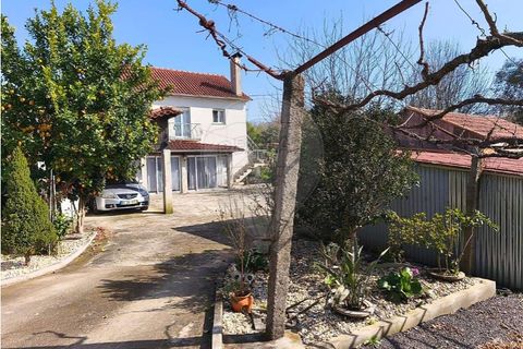 Villa i Ponte de Lima, Viana do Castelo, Ponte de Lima - € 259.000 | Ref: 123731006-165 - foto 4