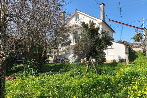 Villa i Ponte de Lima, Viana do Castelo, Ponte de Lima - € 259.000 | Ref: 123731006-165 - foto 5