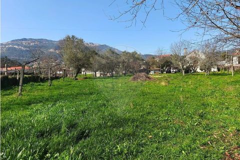 Villa i Ponte de Lima, Viana do Castelo, Ponte de Lima - € 259.000 | Ref: 123731006-165 - foto 21