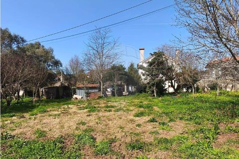 Villa i Ponte de Lima, Viana do Castelo, Ponte de Lima - € 259.000 | Ref: 123731006-165 - foto 22