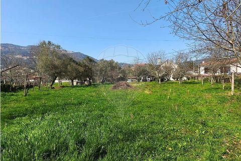 Villa i Ponte de Lima, Viana do Castelo, Ponte de Lima - € 259.000 | Ref: 123731006-165 - foto 23