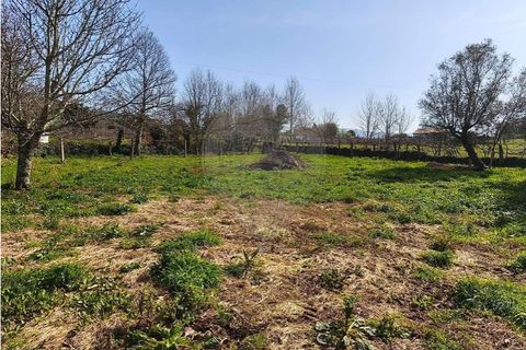 Villa i Ponte de Lima, Viana do Castelo, Ponte de Lima - € 259.000 | Ref: 123731006-165 - foto 24