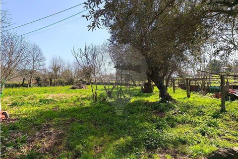 Villa i Ponte de Lima, Viana do Castelo, Ponte de Lima - € 259.000 | Ref: 123731006-165 - foto 25