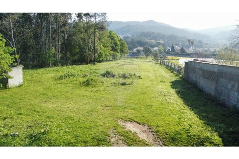 Helårsgrund i Gandra e Taiao, Viana do Castelo, Gandra e Taiao - € 87.000 | Ref: 126201003-224 - foto 5