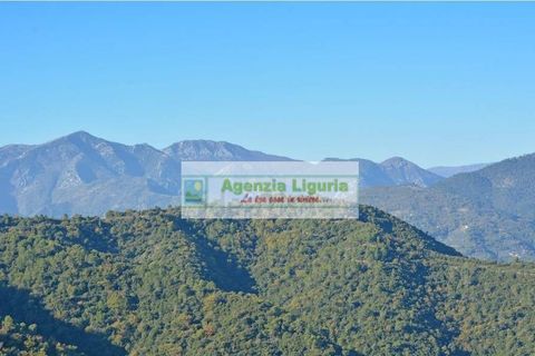 Lejlighed i Perinaldo, Imperia, Perinaldo - € 179.000 | Ref: 1126 - foto 4