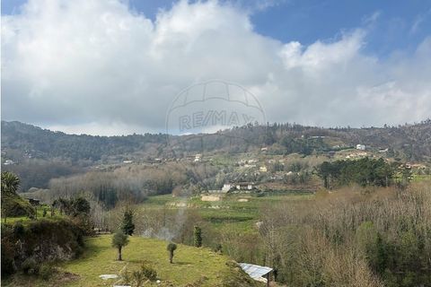 Villa i Celorico de Basto, Braga, Celorico de Basto - € 230.000 | Ref: 126221008-455 - foto 22