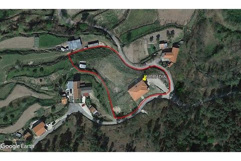 Villa i Celorico de Basto, Braga, Celorico de Basto - € 230.000 | Ref: 126221008-455 - foto 35