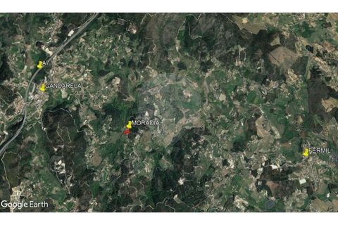 Villa i Celorico de Basto, Braga, Celorico de Basto - € 230.000 | Ref: 126221008-455 - foto 36