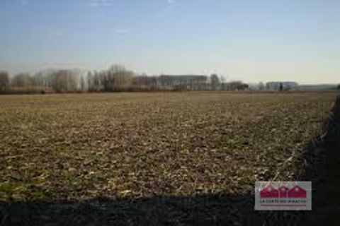 Tomt i Torri di Quartesolo, Vicenza, Torri di Quartesolo - € 179 000 | Ref: VTERR26B - foto 5
