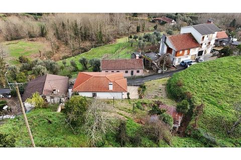 Villa a Alvite e Passos, Braga, Alvite e Passos - € 184.000 | Ref: 126311008-136 - foto 34