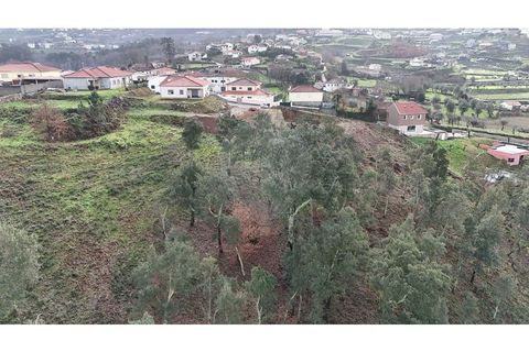 Helårsgrund i Cabeceiras de Basto, Braga, Cabeceiras de Basto - € 65.000 | Ref: 126311008-139 - foto 12