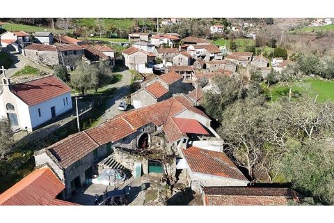 Villa i Cabeceiras de Basto, Braga, Cabeceiras de Basto - € 65.000 | Ref: 126311008-143 - foto 13