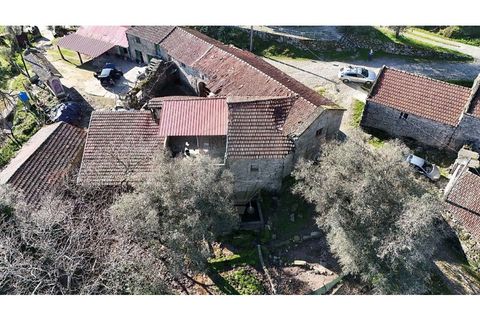 Villa i Cabeceiras de Basto, Braga, Cabeceiras de Basto - € 65.000 | Ref: 126311008-143 - foto 16