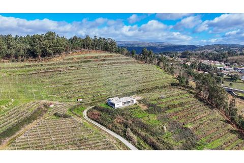 Villa i Cabeceiras de Basto, Braga, Cabeceiras de Basto - € 420.000 | Ref: 126311008-147 - foto 14