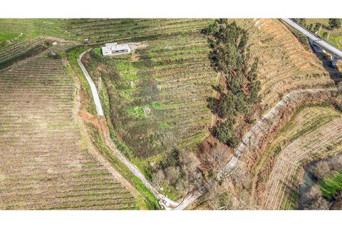Villa i Cabeceiras de Basto, Braga, Cabeceiras de Basto - € 420.000 | Ref: 126311008-147 - foto 49