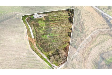 Villa i Cabeceiras de Basto, Braga, Cabeceiras de Basto - € 420.000 | Ref: 126311008-147 - foto 50