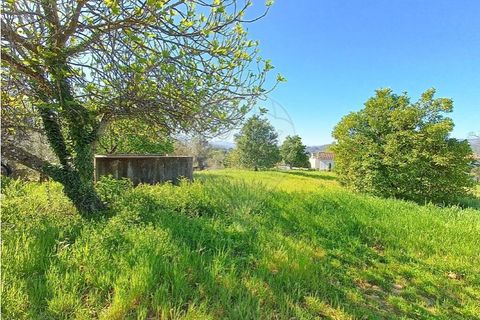 Villa a Atei, Vila Real, Atei - € 192.000 | Ref: 126311008-153 - foto 34