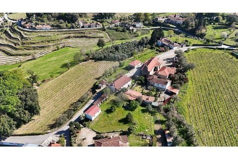 Villa a Atei, Vila Real, Atei - € 192.000 | Ref: 126311008-153 - foto 38