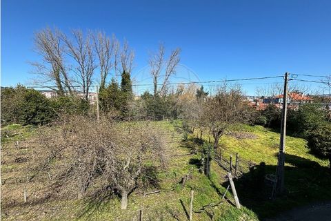 Helårsgrund i Chaves, Vila Real, Chaves - € 183.000 | Ref: 126381014-85 - foto 2