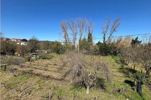 Helårsgrund i Chaves, Vila Real, Chaves - € 183.000 | Ref: 126381014-85 - foto 6
