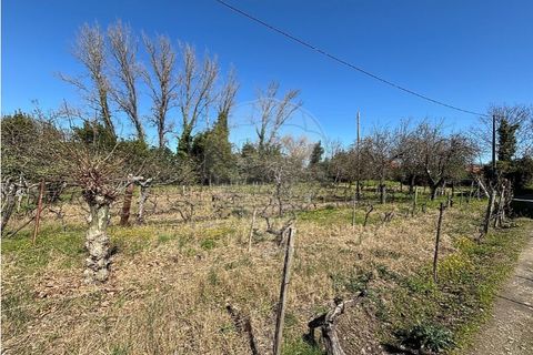 Helårsgrund i Chaves, Vila Real, Chaves - € 183.000 | Ref: 126381014-85 - foto 9