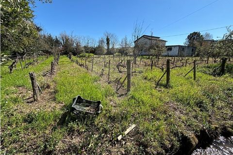 Helårsgrund i Chaves, Vila Real, Chaves - € 183.000 | Ref: 126381014-85 - foto 10