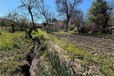 Helårsgrund i Chaves, Vila Real, Chaves - € 183.000 | Ref: 126381014-85 - foto 11