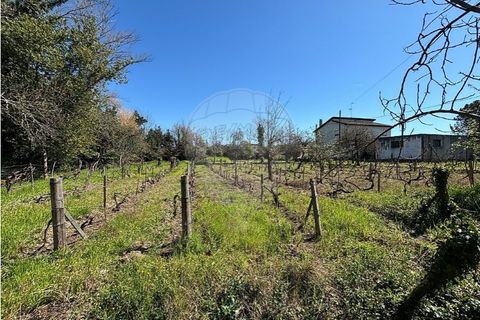 Helårsgrund i Chaves, Vila Real, Chaves - € 183.000 | Ref: 126381014-85 - foto 12
