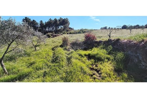 Helårsgrund i Valpacos, Vila Real, Valpacos - € 66.500 | Ref: 126381027-13 - foto 2