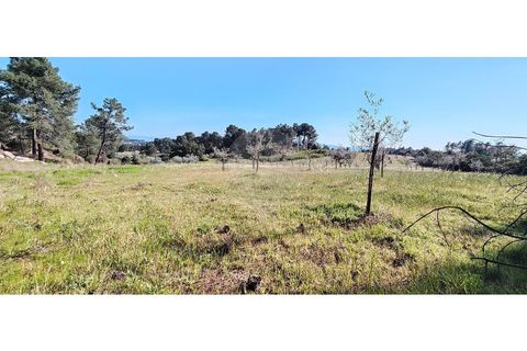 Helårsgrund i Valpacos, Vila Real, Valpacos - € 66.500 | Ref: 126381027-13 - foto 3