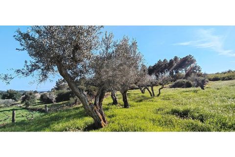 Helårsgrund i Valpacos, Vila Real, Valpacos - € 66.500 | Ref: 126381027-13 - foto 7