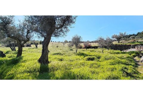 Helårsgrund i Valpacos, Vila Real, Valpacos - € 66.500 | Ref: 126381027-13 - foto 8