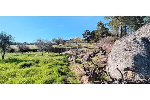 Helårsgrund i Valpacos, Vila Real, Valpacos - € 66.500 | Ref: 126381027-13 - foto 9