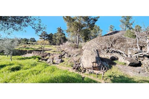 Helårsgrund i Valpacos, Vila Real, Valpacos - € 66.500 | Ref: 126381027-13 - foto 10