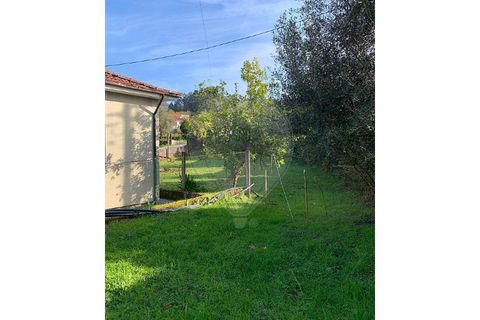 Villa i Chorense e Monte, Braga, Chorense e Monte - € 229.000 | Ref: 126971021-48 - foto 26