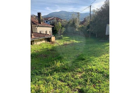 Villa i Chorense e Monte, Braga, Chorense e Monte - € 229.000 | Ref: 126971021-48 - foto 29